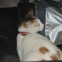2008.11.13-014.JPG
