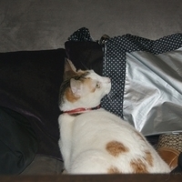2008.11.13-015.JPG