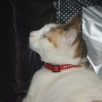 2008.11.13-017.JPG
