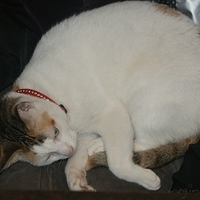 2008.11.13-018.JPG