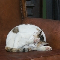 2008.11.13-023.JPG