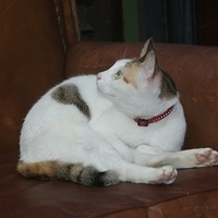 2008.11.13-025.JPG