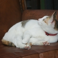 2008.11.13-026.JPG