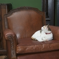 2008.11.13-029.JPG