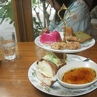 2008.11.13-042.JPG