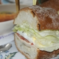 2008.11.13-048.JPG