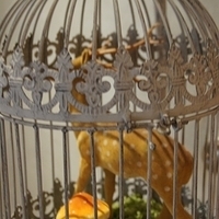 2012.03.10-027.JPG