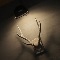 2012.03.10-039.JPG
