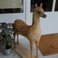 2012.03.10-057.JPG