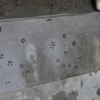 2012.03.10-058.JPG