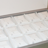 2011.01.27-pineapple cake-006.JPG