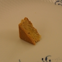 2011.01.27-pineapple cake-010.JPG