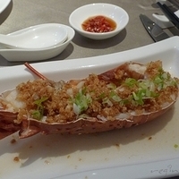 2012.02.15-005.JPG