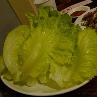 2009.04.17-011.JPG