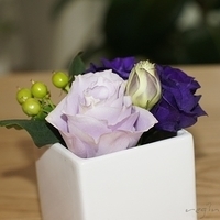 2011.02.24-026.JPG