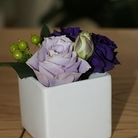 2011.02.24-027.JPG