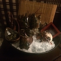 2014.01.29-014.JPG