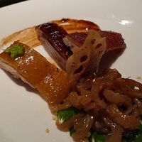 2011.02.22-002.JPG