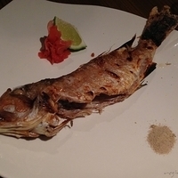 2013.05.19-013.JPG