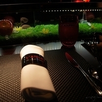 2011.05.06-002.JPG