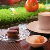 2011.05.06-018.JPG