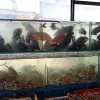 2012.10.21-Sanming-002.JPG