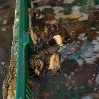 2012.10.21-Sanming-004.JPG