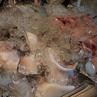 2012.10.14-004.JPG