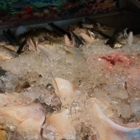 2012.10.14-005.JPG