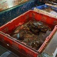 2012.10.14-007.JPG