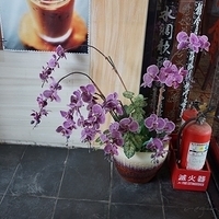 2012.10.14-008.JPG