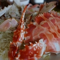 2012.10.14-036.JPG