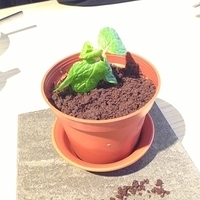 2013.03.06-021.JPG