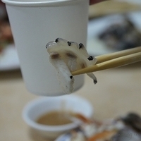 2010.10.10-023.JPG