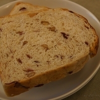 2011.10.20-004.JPG