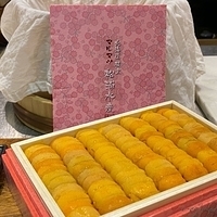 Yodo Dono II