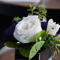 2011.04.04-a3-007.JPG
