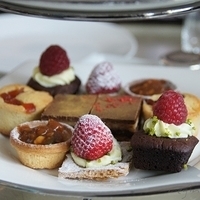2011.04.04-a3-012.JPG