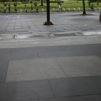 2011.04.04-a3-021.JPG