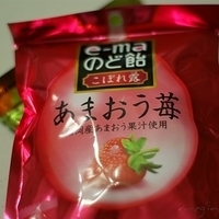 2009.01.18-003.JPG