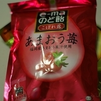 2009.01.18-004.JPG