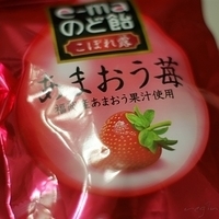 2009.01.18-005.JPG