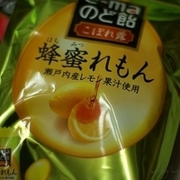 2009.01.18-007.JPG