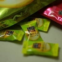 2009.01.18-009.JPG