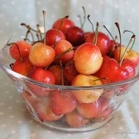 2011.08.26-002.JPG