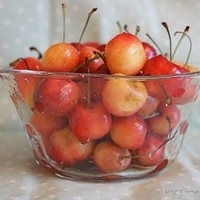 2011.08.26-003.JPG