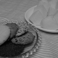 2012.02.08-001.JPG
