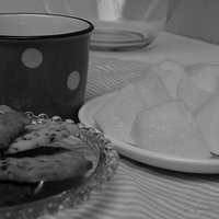 2012.02.08-002.JPG