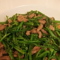 2012.03.09-001.JPG