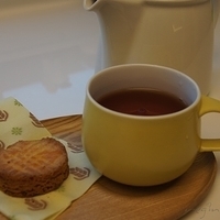 2012.03.19-001.JPG